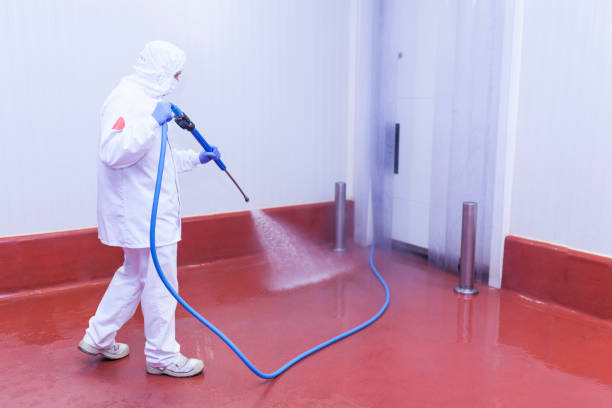 Best Restaurant Pressure Washing  in Manassas, VA